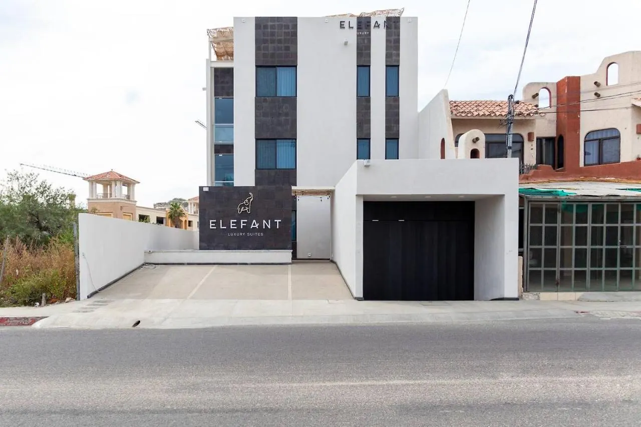 Elefant Apartment In Cabo'S Touristic Downtown Cabo San Lucas